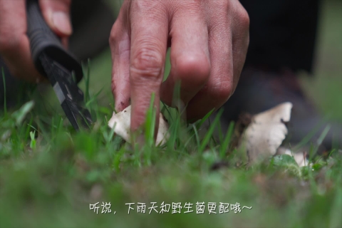 产品动画-机械制造叉车·案例